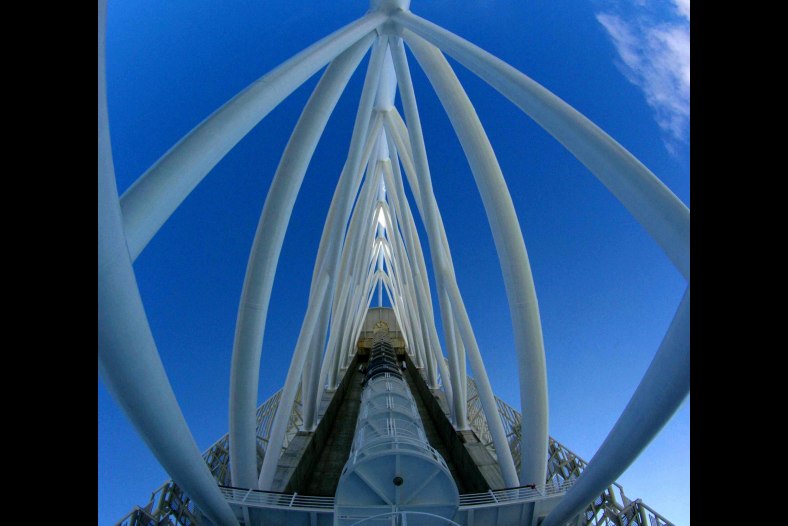 Estrutura  (structure)